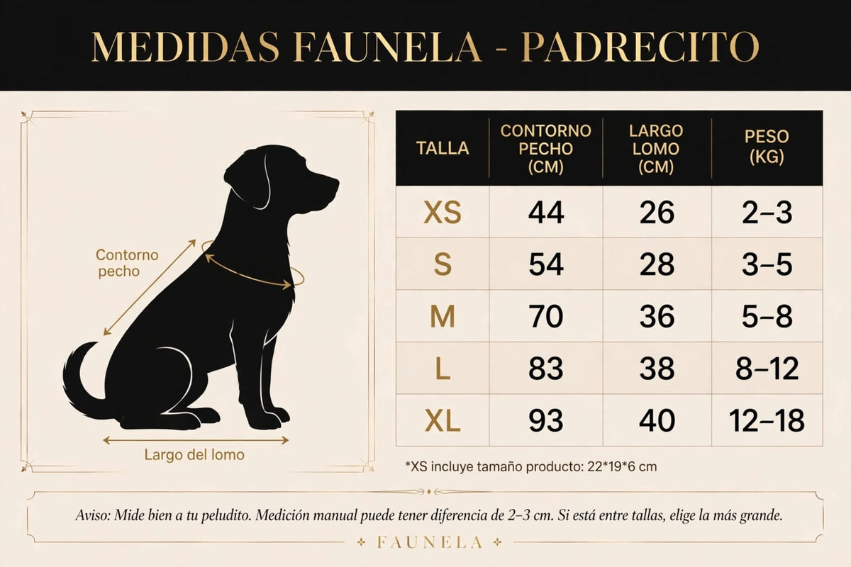 Disfraz de sacerdote con biblia para perro - Edición Halloween Padrecito Faunela